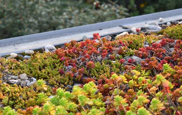 the cost of Rattery green roof installation