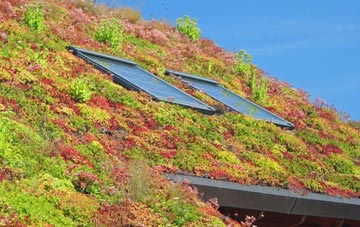 Rattery living roof systems